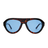 Maddy | Blue Tortoiseshell